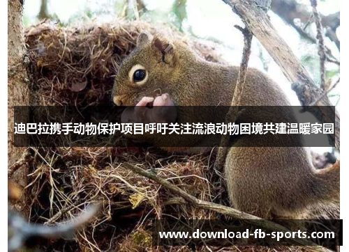 迪巴拉携手动物保护项目呼吁关注流浪动物困境共建温暖家园